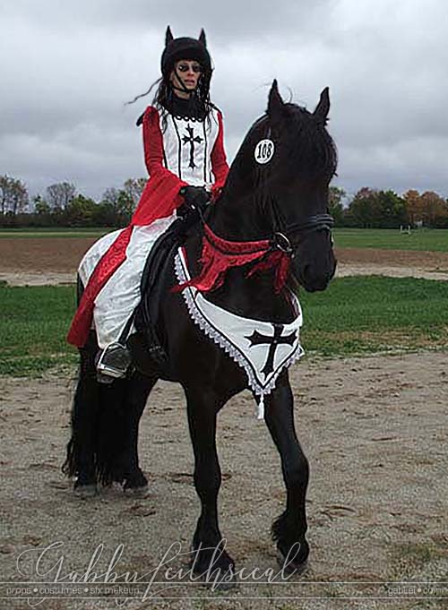 Horse-and-Rider-Costume