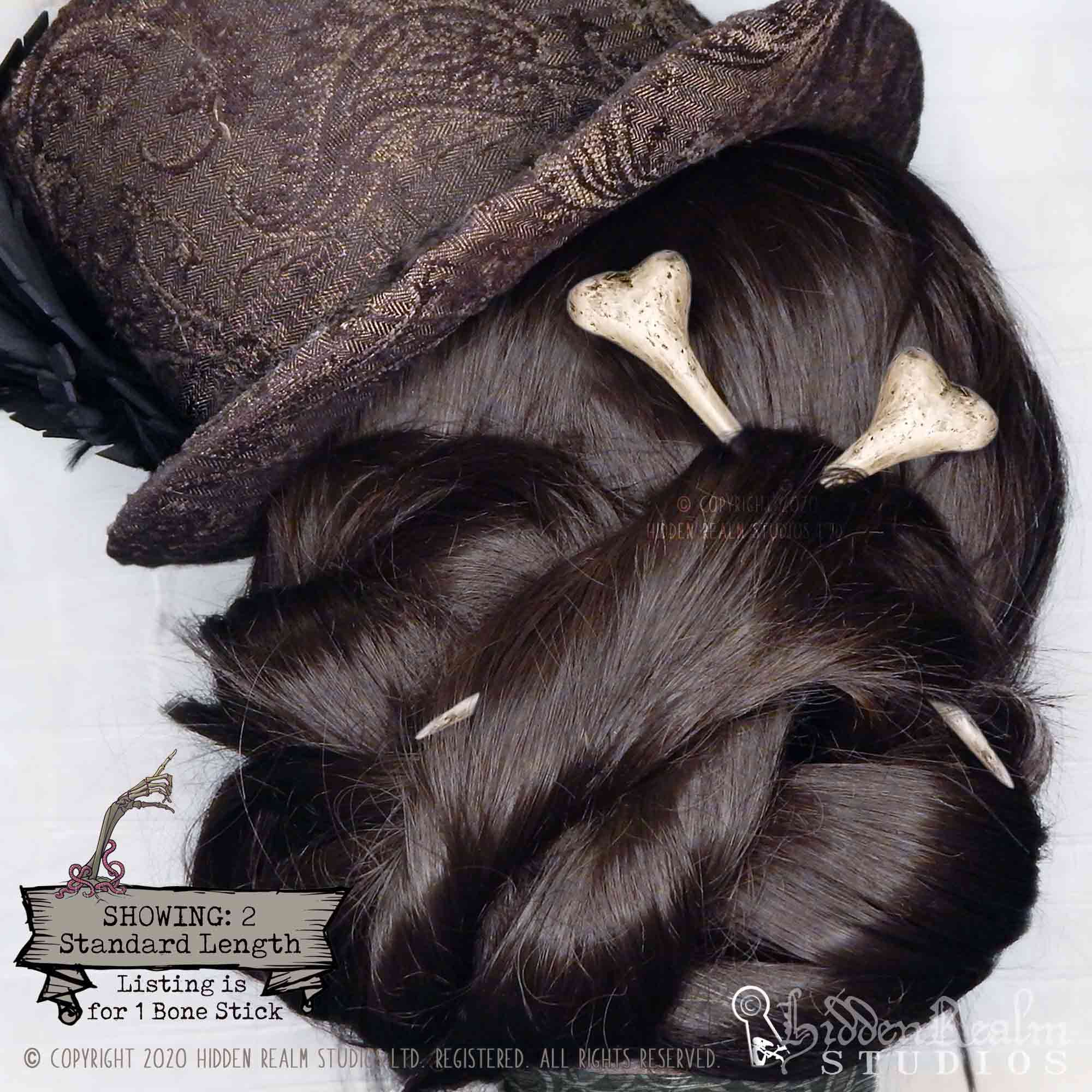 HRS-COPYRIGHT---Bones-of-Yore---Hair-Dressing-Up